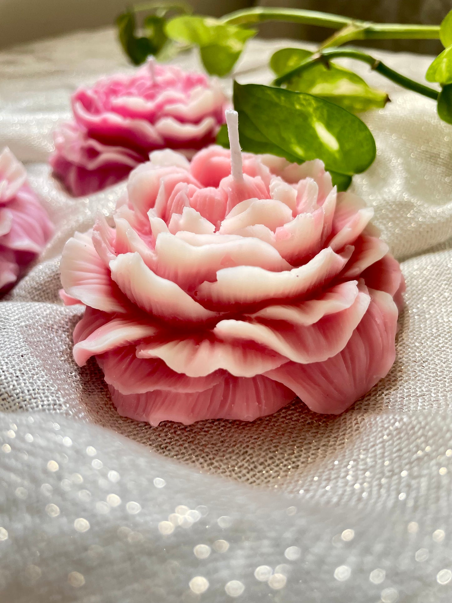 Peony Scented Candles
