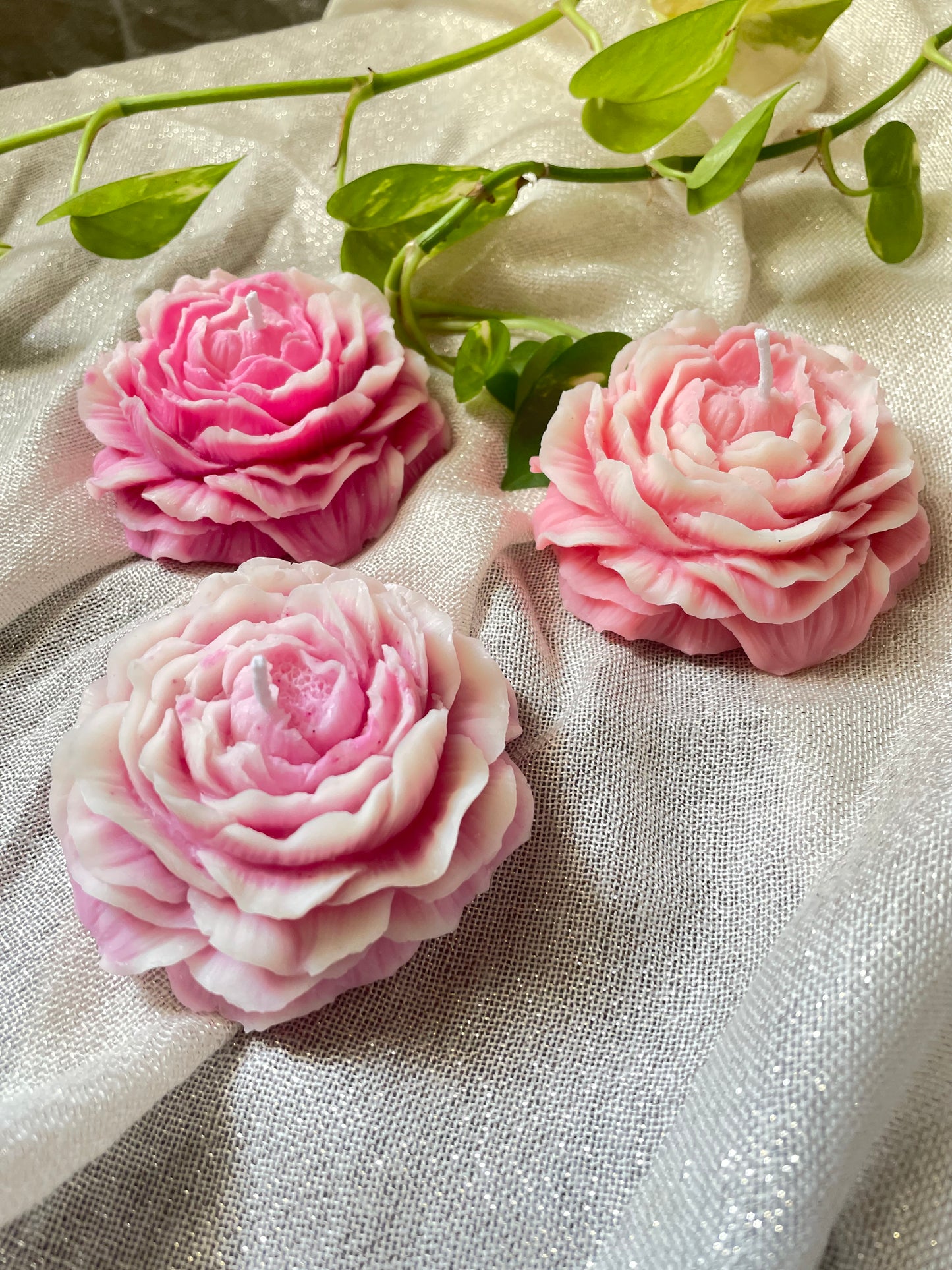 Peony Scented Candles