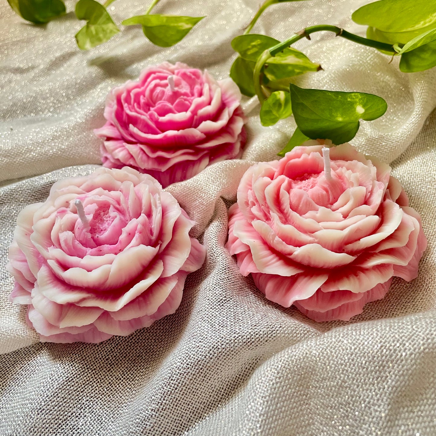 Peony Scented Candles