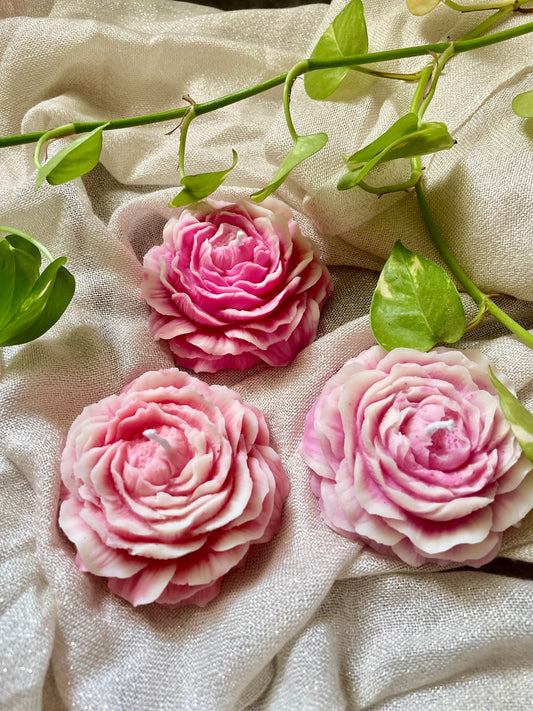 Peony Scented Candles